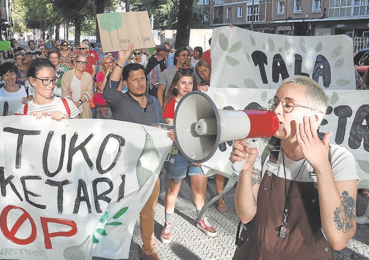 El Gobierno vasco pide al Ayuntamiento de Bilbao aclarar las talas de olmos en Deusto